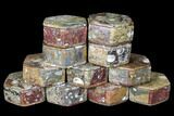 Lot: Hexagonal Goniatite & Orthoceras Jewelry Boxes - Pcs #104026-3